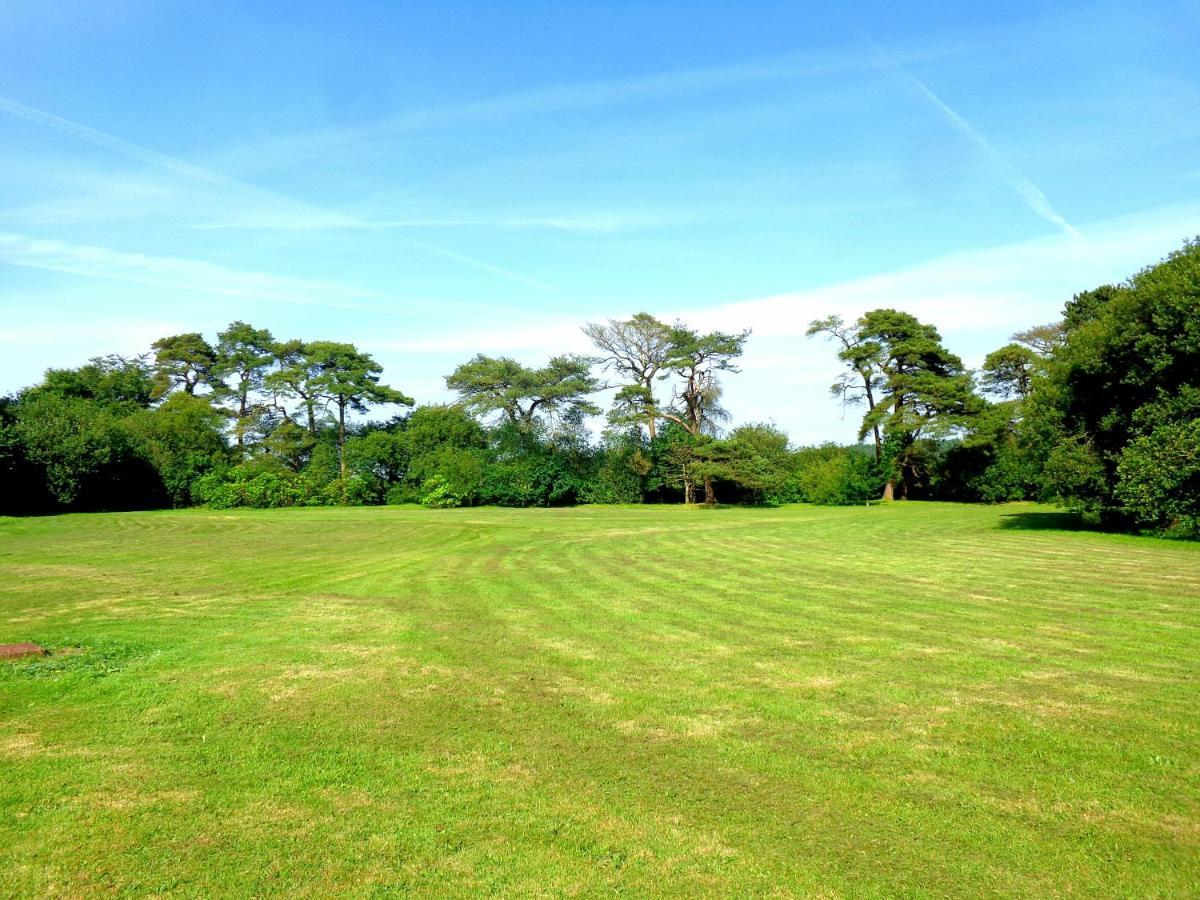 28 Yew Lodge Amroth Dış mekan fotoğraf